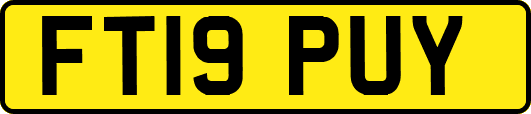 FT19PUY