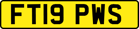 FT19PWS