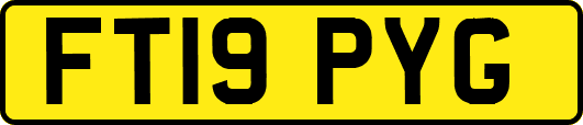 FT19PYG