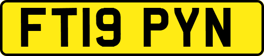 FT19PYN
