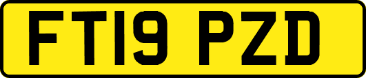 FT19PZD