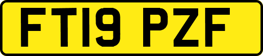 FT19PZF