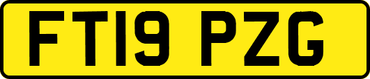 FT19PZG