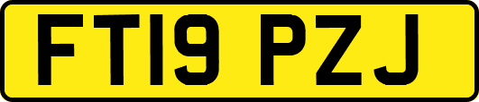 FT19PZJ