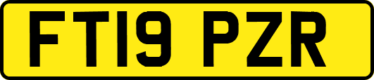 FT19PZR