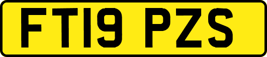 FT19PZS