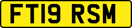 FT19RSM