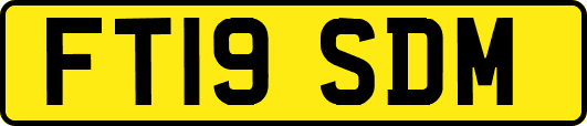 FT19SDM