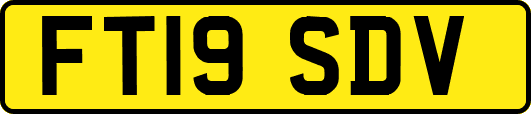FT19SDV