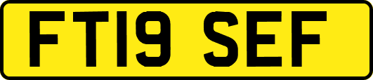 FT19SEF