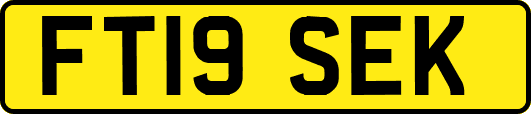 FT19SEK