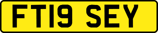 FT19SEY