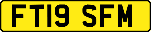 FT19SFM