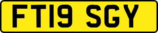 FT19SGY