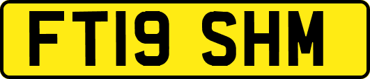 FT19SHM