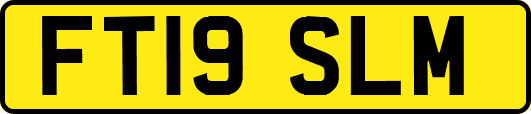 FT19SLM
