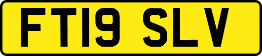 FT19SLV