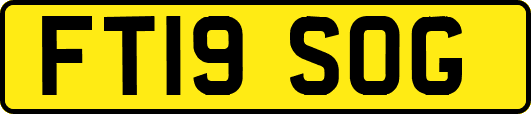 FT19SOG