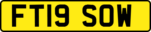 FT19SOW