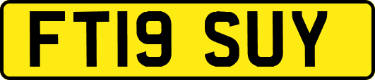 FT19SUY