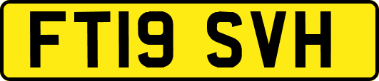 FT19SVH