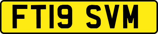 FT19SVM
