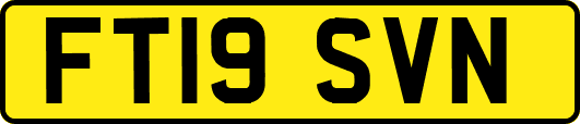 FT19SVN