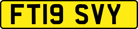 FT19SVY