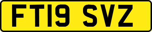 FT19SVZ