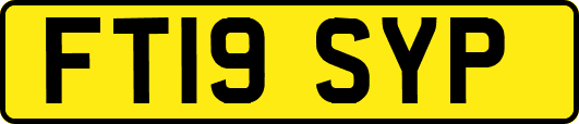 FT19SYP