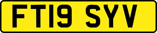 FT19SYV
