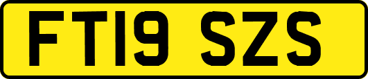 FT19SZS