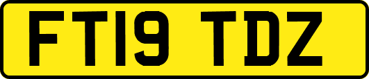 FT19TDZ