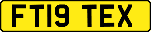 FT19TEX