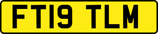 FT19TLM