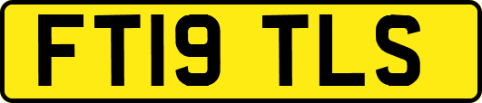 FT19TLS
