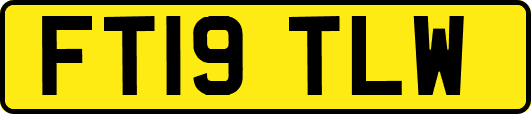 FT19TLW