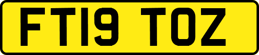 FT19TOZ