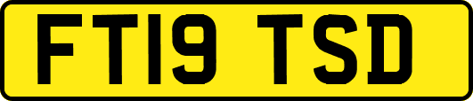 FT19TSD