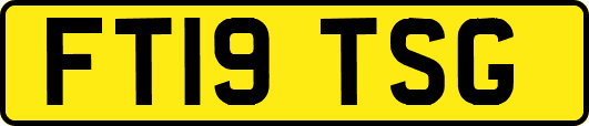 FT19TSG