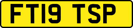 FT19TSP