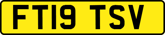 FT19TSV