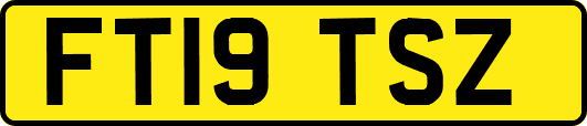 FT19TSZ