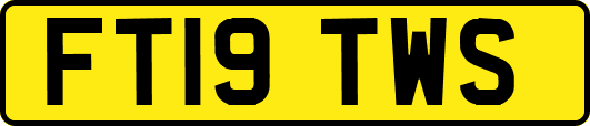 FT19TWS