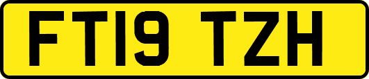 FT19TZH