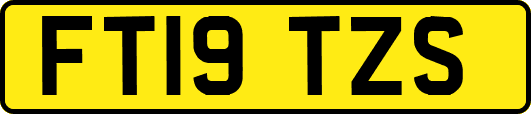 FT19TZS