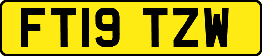 FT19TZW