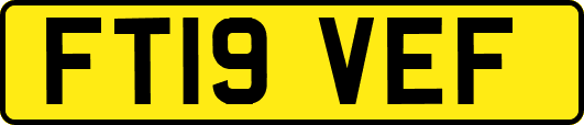 FT19VEF
