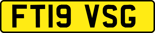 FT19VSG