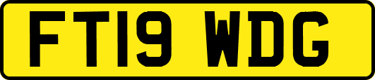 FT19WDG